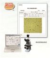 上海物光 WKL-722 粉塵形貌分散度測試儀